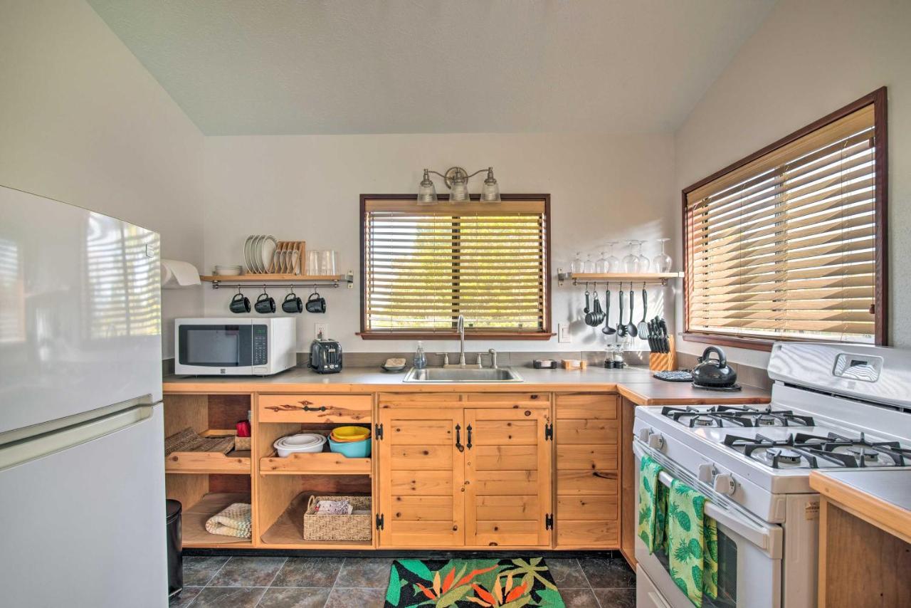 Fern Island Escape With Rainforest View! Apartment